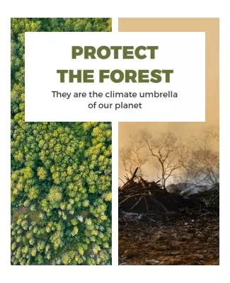 Environmental Awareness Forest Conservation Poster Template