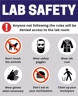 Essential Lab Safety Guidelines with Icons Poster Template