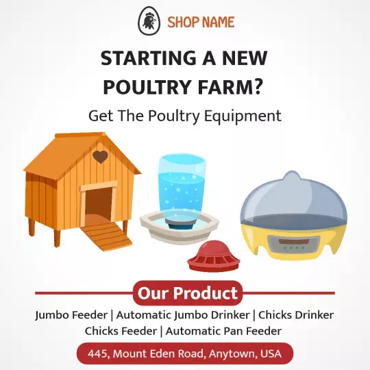 Essential Poultry Equipment for Starting Your New Farm Ad Template