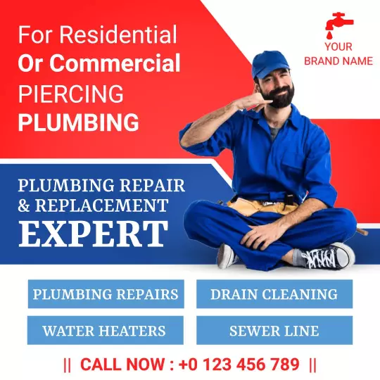 Expert Plumbing Repair and Replacement Services Ad Template