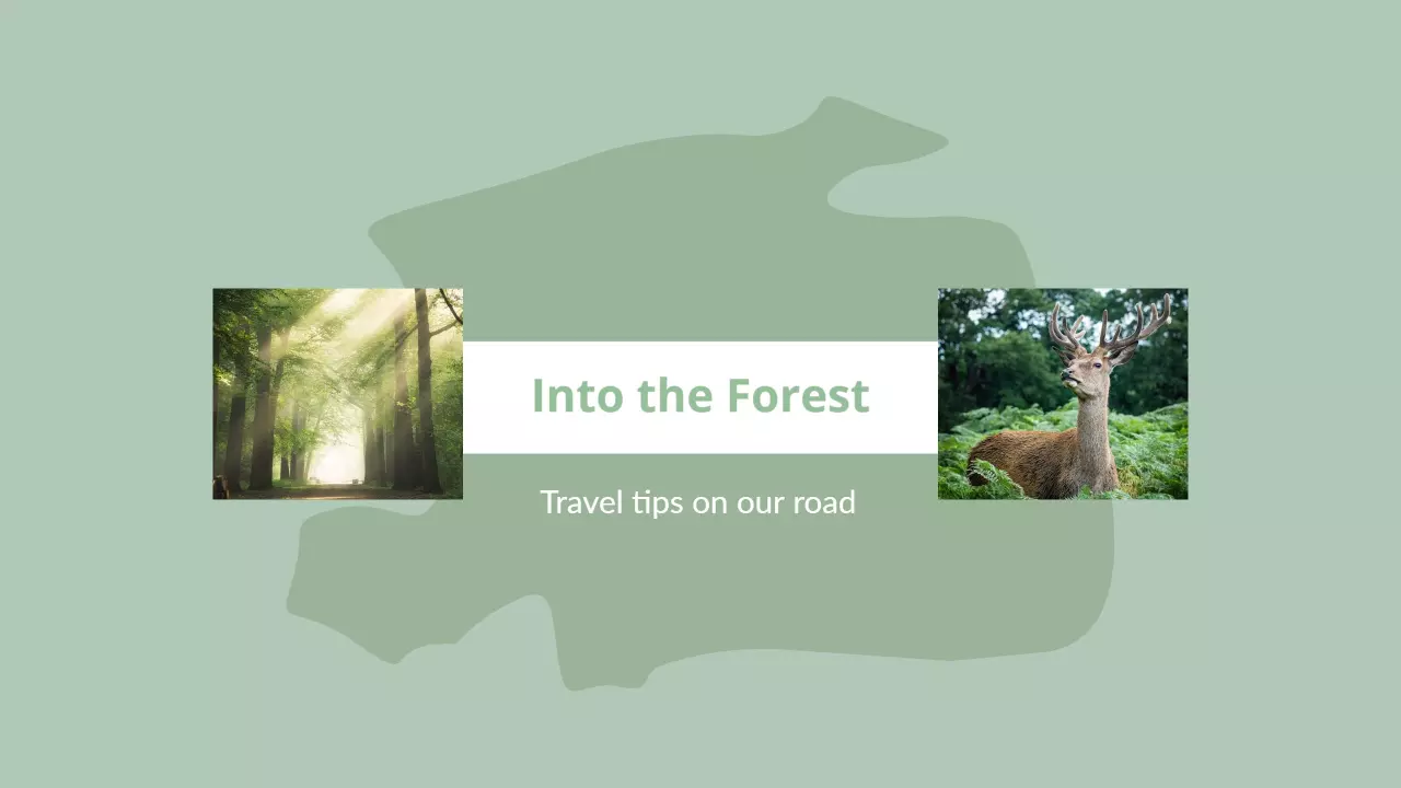 Exploring Serene Forest Trails with Wildlife Travel Banner Template