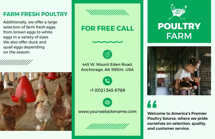 Farm Fresh Poultry Eggs and Natural Meats Tri Fold Brochure Template