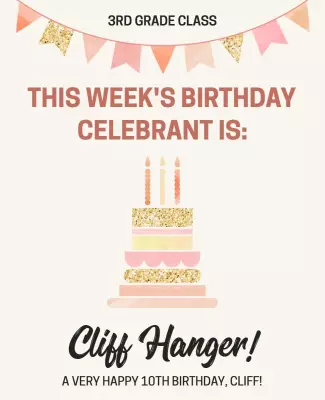 Festive Pink Birthday Celebration Announcement Poster Template