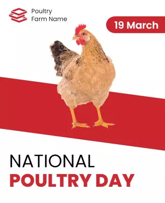 Festive Red Chicken Illustration for National Poultry Day Poster Template