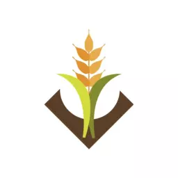 Flourishing Green and Golden Grain Symbol in Agriculture Logo Template