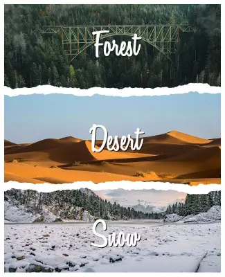 Forest Desert Snow Photo Collage Flyer Template