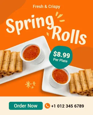 Fresh Crispy Spring Rolls Promotion Poster Template