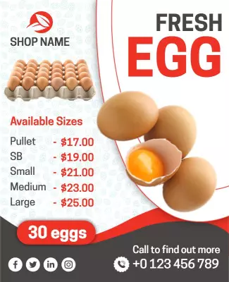 Fresh Egg Price List Flyer Template
