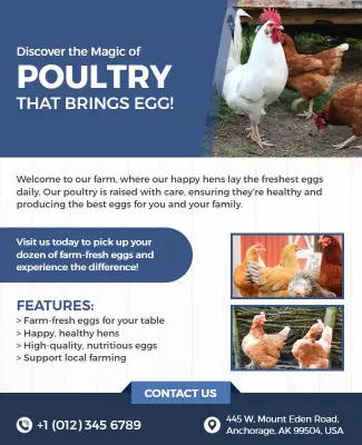 Fresh Farm Poultry Egg Collection Promotion Poster Template