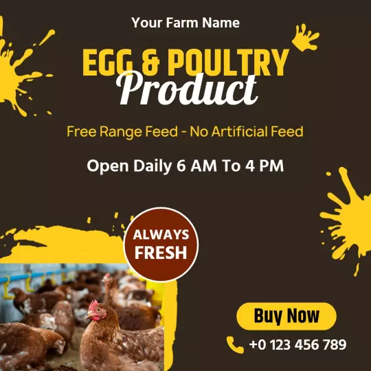 Fresh Free Range Egg and Poultry Farm Promotion Ad Template
