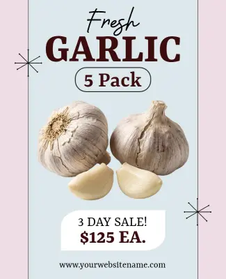 Fresh Garlic Sale Promotion Flyer Template