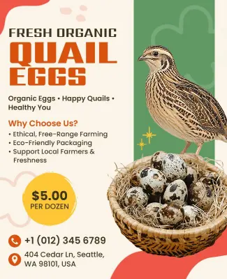 Fresh Organic Quail Eggs Sale Poster Template