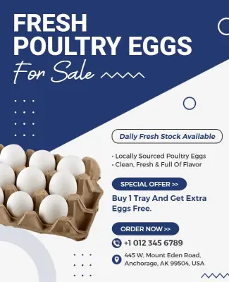 Fresh Poultry Eggs Sale Promotion Flyer Template