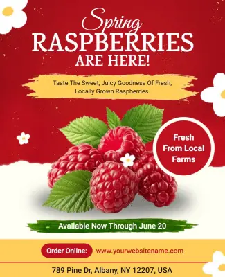 Fresh Spring Raspberries Promotion Flyer Template