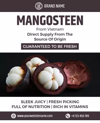 Fresh Tropical Mangosteen Fruit Supply from Vietnam Poster Template
