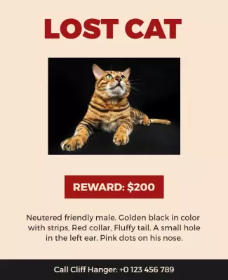 Friendly Golden Black Lost Cat Reward Poster Template