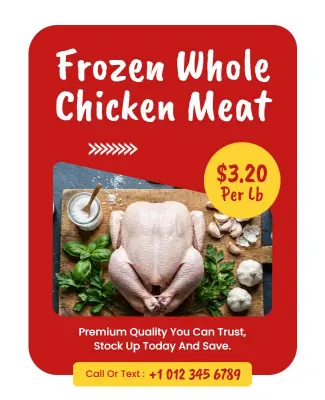 Frozen Whole Chicken Meat Promotion Flyer Template