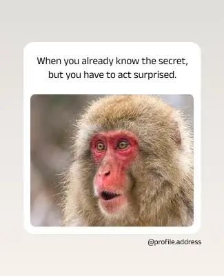 Funny Animal Reaction Meme Poster Template
