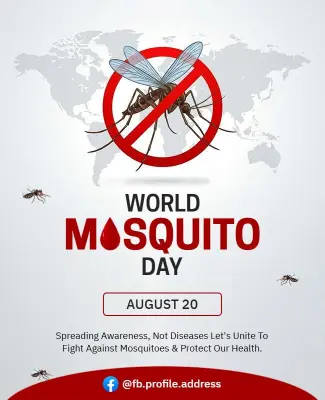 Global Awareness Against Mosquitoes World Day Poster Template