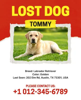 Golden Labrador Lost Dog Information Poster Template