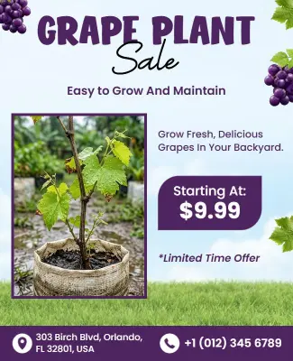 Grape Plant Sale Promotional Flyer Template