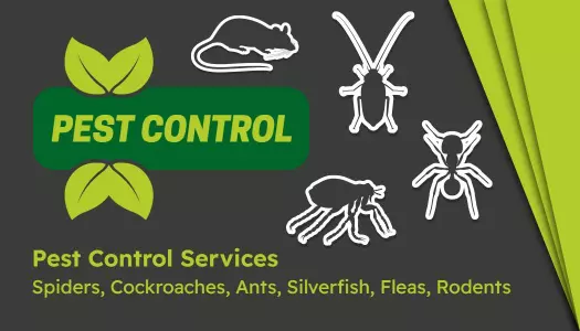 Green Leaf Pest Control Services Visiting Card Template