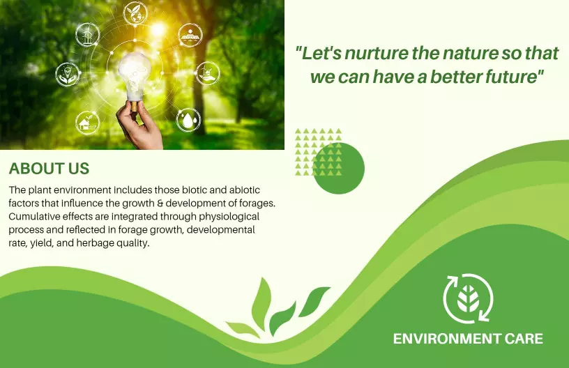 Green Nature Conservation and Awareness Program Brochure Template