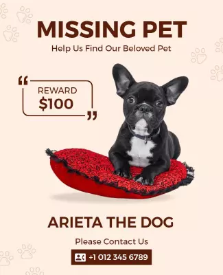 Heartfelt Missing Pet Notice for Beloved Dog Poster Template