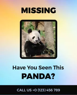 Heartwarming Missing Panda Alert Flyer Template
