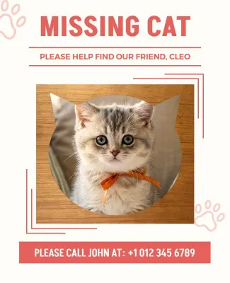 Help Find Missing Cat Poster Template
