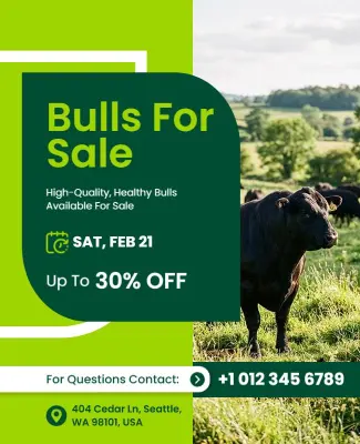 High-Quality Bulls Sale Advertisement Flyer Template