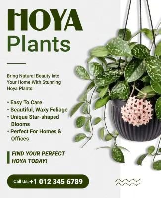 Indoor Hoya Plants Promotional Flyer Template