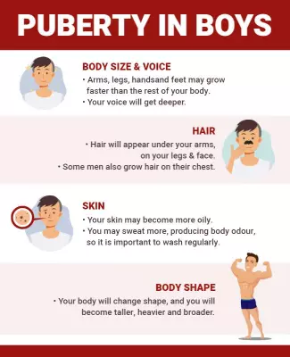 Informative Illustrated Guide on Puberty in Boys Poster Template