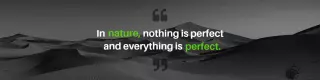 Inspirational Quote About Nature on Black LinkedIn Banner Template