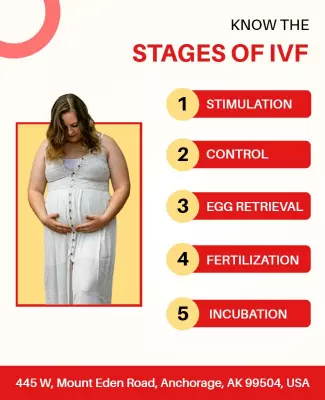 Ivf Stages Educational Flyer Template