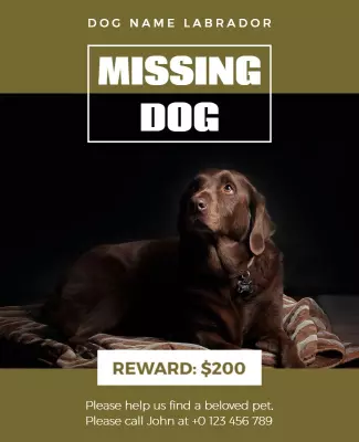 Labrador Missing Dog Reward Flyer Template