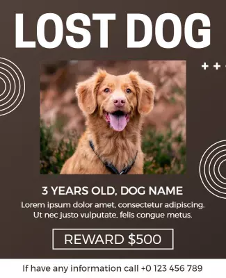Lively Lost Dog Alert with Reward Offer Poster Template