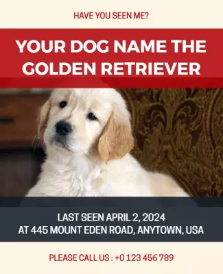 Lost Dog Golden Retriever Alert Flyer Template