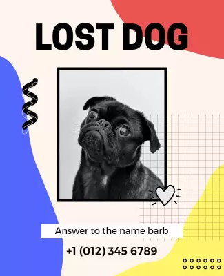 Lost Dog Pet Finder Flyer Template
