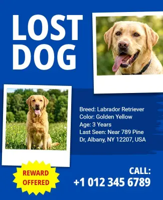 Lost Dog Reward Notice Poster Template