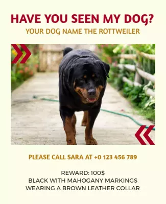 Lost Dog Rottweiler Reward Flyer Template
