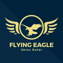 Majestic Eagle in Flight Symbolizing Power and Freedom Logo Template