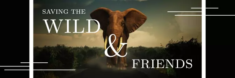 Majestic Elephant in Nature Promoting Wildlife Conservation Twitter Banner Template