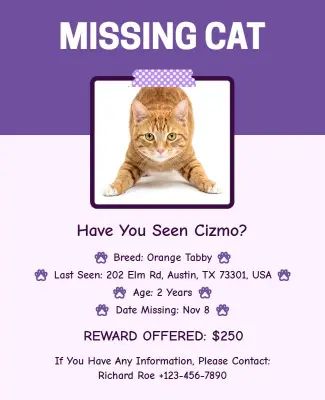 Missing Cat Alert Poster Template