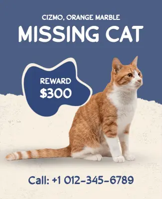 Missing Cat Reward Poster Template