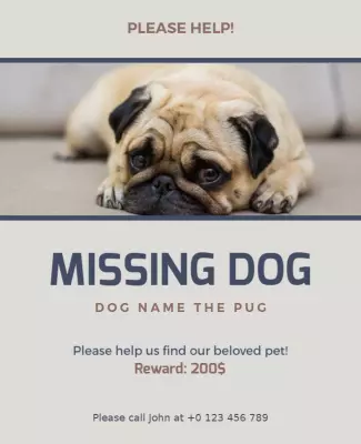 Missing Dog Alert Community Flyer Template