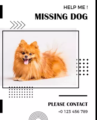 Missing Dog Alert Flyer with Contact Information Template