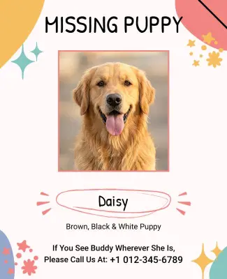 Missing Dog Alert Poster with Information Template