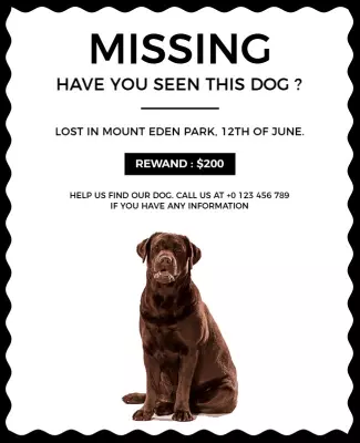 Missing Dog Alert Reward Offered Flyer Template