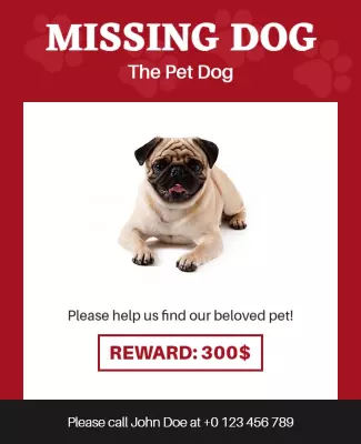 Missing Dog Reward Announcement Flyer Template